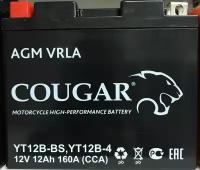 Аккумулятор мотоциклетный Cougar AGM YT12B-BS 12V 12Ah (залит и готов к применению)