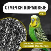 Семечки подсолнечника 4 кг. Сырые, неочищенные. Корм для лесных уличных и домашних птиц, грызунов