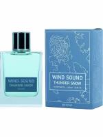 BROCARD Wind Sound. Thunder Snow Edt 100ml