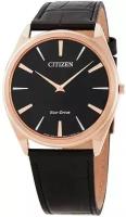 Наручные часы Citizen AR3073-06E