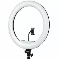 Осветитель кольцевой Falcon Eyes BeautyLight 480RC LED