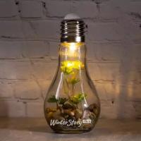 Boltze Декоративный подвесной светильник - флорариум Лампочка с Крассулой 18 см, теплая белая LED подсветка, стекло, IP20 1003978