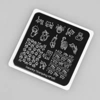 Пластина для стемпинга Swanky Stamping 6x6 №116