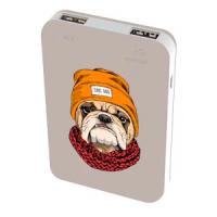 Внешний аккумулятор Ritmix RPB-10007 Bulldog