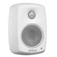 GENELEC 4010AW - Акустическая система