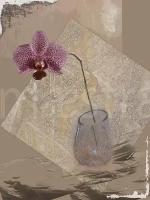 Фотообои Сиреневая орхидея в вазе 275x207 (ВхШ), бесшовные, флизелиновые, MasterFresok арт 2-113