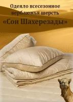 Одеяло "Сон Шахерезады', верблюжий пух, 160х210, стеганое, всесезонное