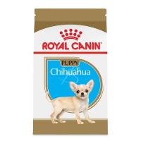 CHIHUAHUA PUPPY (чихуахуа паппи) 1.5кг