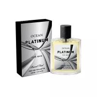 Delta Parfum Ocean Platinum туалетная вода 100 мл для мужчин