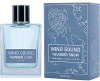 Brocard Wind Sound. Thunder Snow туалетная вода 100мл