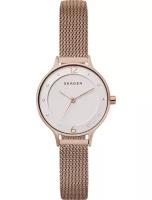 Наручные часы Skagen SKW2650