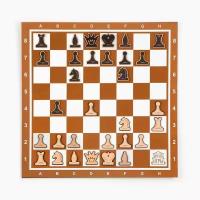Демонстрационные шахматы 40 x 40 см на магнитной доске, 32 шт, коричневые