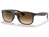 Ray-Ban Andy RB4202 607313 (RB4202 607313)