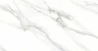 Плитка керамогранитная AZARIO VENEZIA WHITE 60х120 Glossy (F2010821120G)