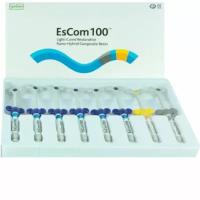 EsCom 100 Kit, малый 5 шпр. по 4г., SPIDENT