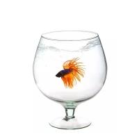 Аквариум Неман Бокал для рыб стекло 3,5л 30.001