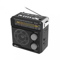 Ritmix RPR-202 черный