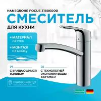 Смеситель для кухни Hansgrohe Focus 31806000 Хром