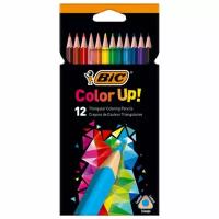 Карандаши цветные 12 цветов BIC "Color UP", комплект 5 шт., пластиковые, трехгранные, 9505271