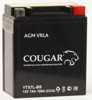 Аккумулятор для мотоцикла и скутера Cougar AGM VRLA 12V 7 А/ч 100 А обр. пол. залит/заряжен YTX7L-BS (113х70х132)