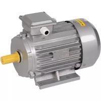 Электродвигатель АИР DRIVE 3ф 100L2 380В 5.5кВт 3000об/мин 1081, IEK DRV100-L2-005-5-3010 (1 шт.)