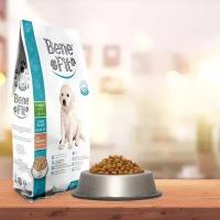 BENEFIT Puppy Large Breed with Lamb & Rice корм сухой для щенков крупных пород с Ягненком и рисом 12 кг