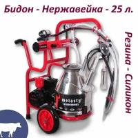 Доильный аппарат Melasty TGK 1-PS(INOX-Silicone) на одну корову(12 коров в час)