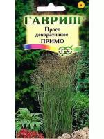 Просо Примо (Колоритное) декоратив 0,5г Одн 70см (Гавриш)