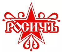 Росичъ 1.2-50Х70 Сальник трактор,МТЗ 1.2-50х70х10 росичъ