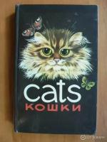 Caats кошки