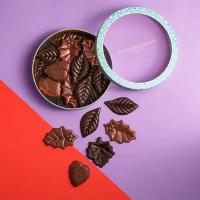 Фигурный молочный и темный шоколад в виде листьев Fortnum&Mason Winter Chocolate Leaves (2 x 115 гр)