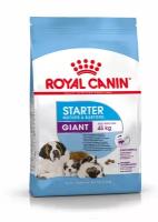 Роял Канин, Джайнт Стартер (Royal Canin, Giant Starter) (4 кг)