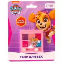 Тени детские Paw Patrol "Скай", 6 цветов