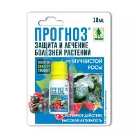Средство "Грин Бэлт", "Прогноз", от болезней растений, флакон в блистере, 10 мл