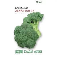 Брокколи "Маратон" F1