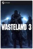 Игра Wasteland 3 для PC, Steam, электронный ключ