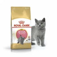 Royal Canin Kitten British Shorthair