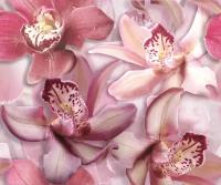 Плитка Cerrol Porto Flowers "Orchid lila" Панно 50x60 (2пл)