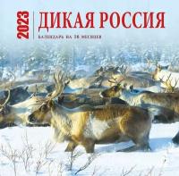 Дикая Россия. Календарь настенный на 16 месяцев на 2023 год (300х300 мм)