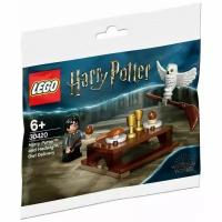 Конструктор Lego Harry Potter 30420 Конструктор LEGO Harry Potter 30420 Harry Potter and Hedwig