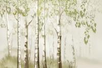 Фотообои Березовый лес 275x413 (ВхШ), бесшовные, флизелиновые, MasterFresok арт 13-619