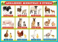 Плакат Домашние животные и птицы А2
