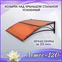 Лотос-120 Бронза. Козырек разборный над крыльцом, дверью, входом, окном, для дома и дачи. Металлический. Для двери крыльца, входа или окна