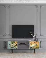 ТВ-Тумба - STORYZ - T2 The Garden by Hieronymus Bosch, 170 x 69 x 48 см, Серый