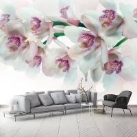 Фотообои Цветок розовой орхидеи 275x447 (ВхШ), бесшовные, флизелиновые, MasterFresok арт 4-014