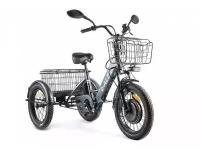 Электровелосипед Eltreco Green City e-Alfa Trike, год 2022, цвет Серебристый