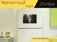 Магнитный пазл "Холодный, туманный, лес" на холодильник 27 x 18 см