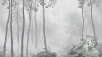Фотообои Деревья в тумане 275x495 (ВхШ), бесшовные, флизелиновые, MasterFresok арт 13-352