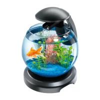 Аквариум Tetra Cascade Globe 6.8л черный, диаметр 27,9 см