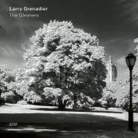 CD Warner Larry Grenadier – Gleaners